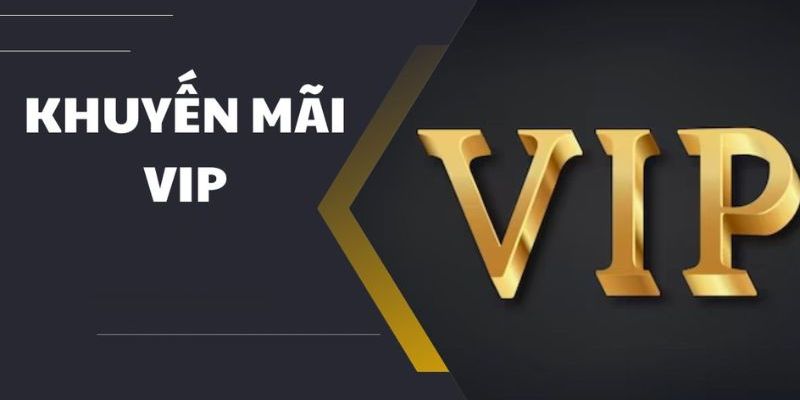 Dành riêng cho hội viên VIP tại nền tảng cá cược VIPwin